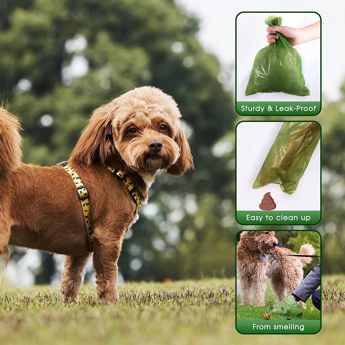 36 rolls of 540 pet feces bags, filled with leak proof dog bags, with paw print design, used for pet cleaning and outdoor use